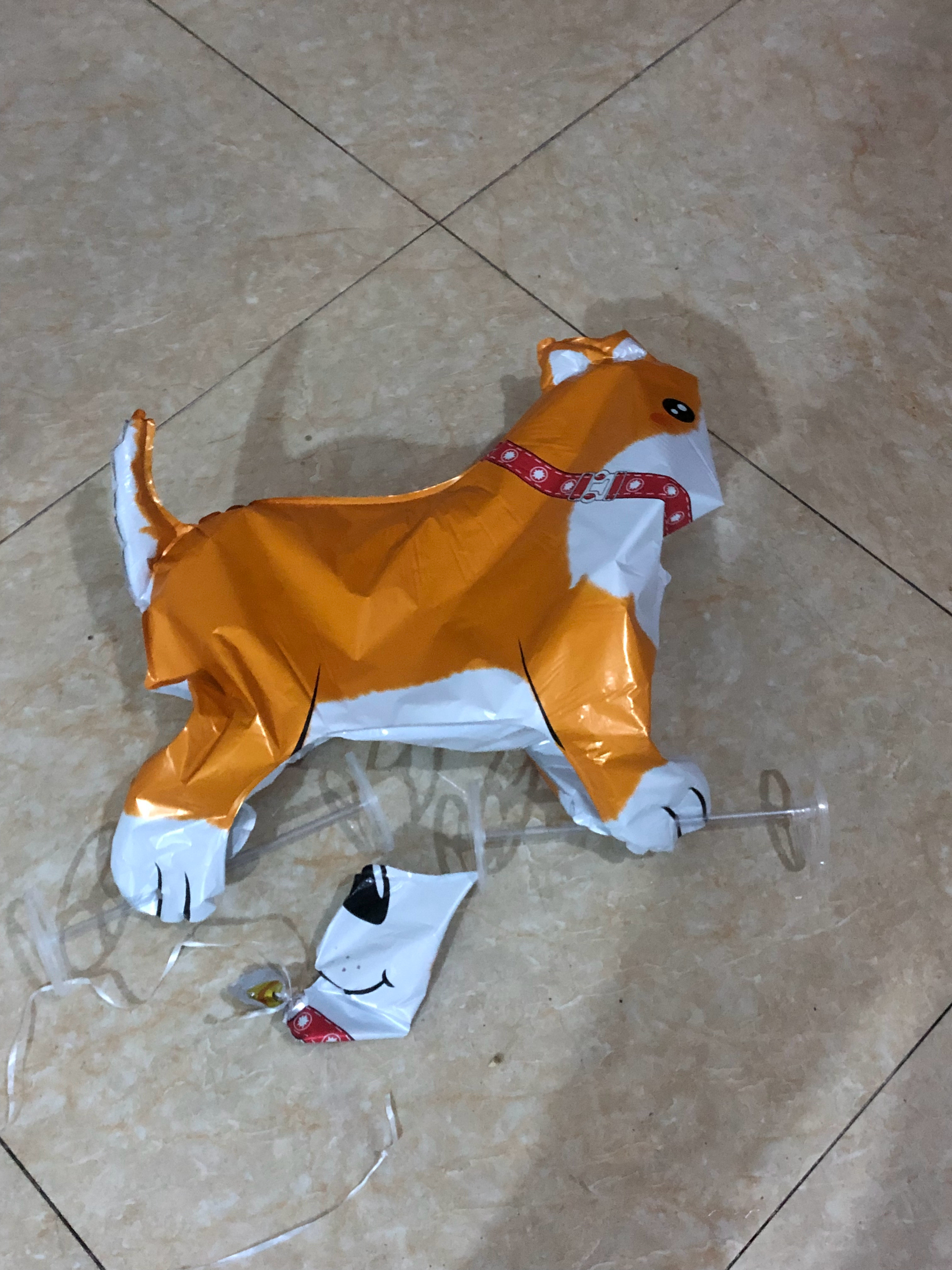 我的小狗被亲戚家小孩踢4️⃣了，“默哀”