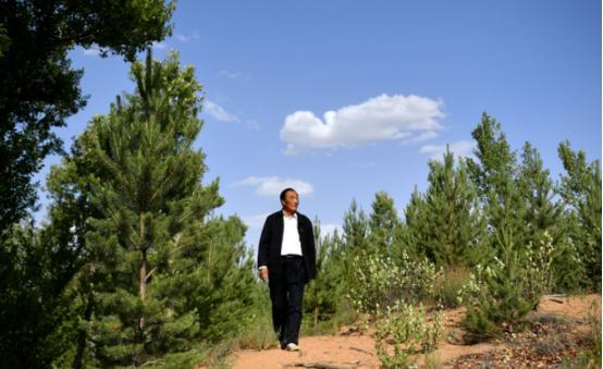 1998年，石光银种下的6万亩林场被纳入生态林场，禁止砍伐。这样一来，石光银手握