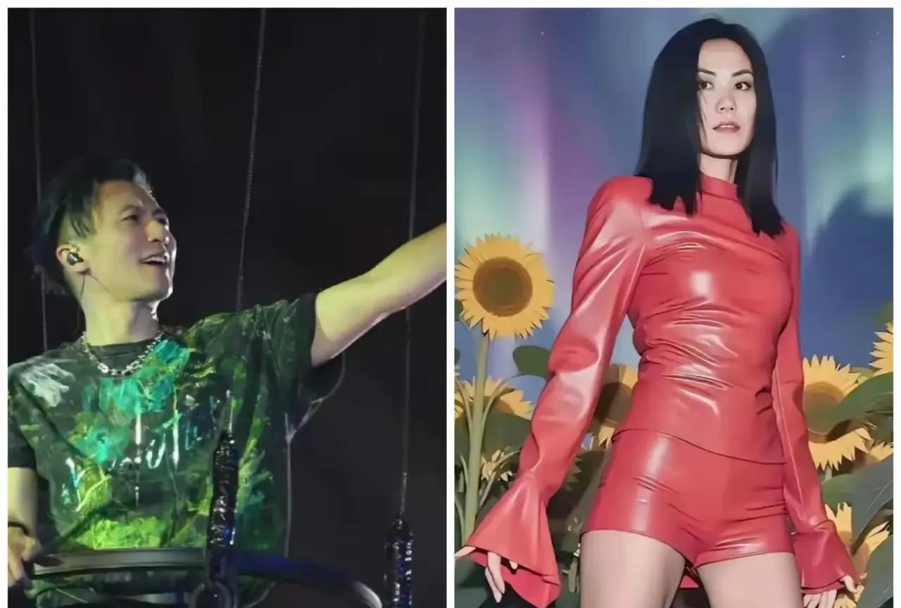 王菲太美啦！怪不得谢霆锋这么喜欢她呢？太美啦！一袭红色的裙子，乌黑靓丽的头发，