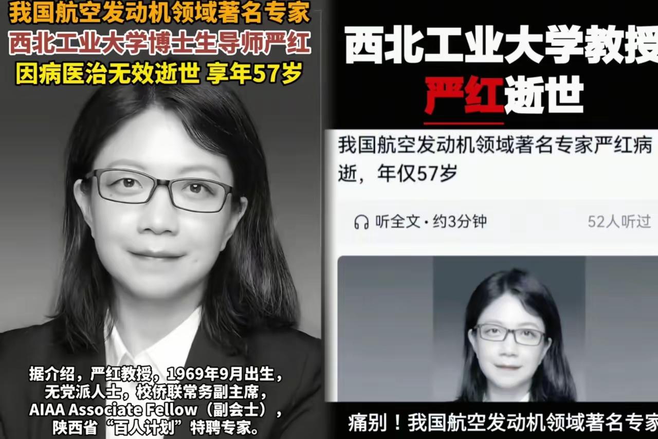 痛惜！国之重器“心脏”守护者严红教授离世！航空发动机，是国之重器的澎湃心脏，
