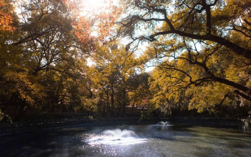 ​​01鄞州天童山天童山为太白山主峰之一，海拔653.3米，因天童寺闻名遐