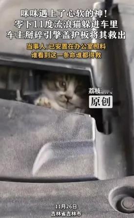 “零下11℃掰引擎救猫！”11月26日，吉林吉林市孙先生准备出门，听见车内传出微