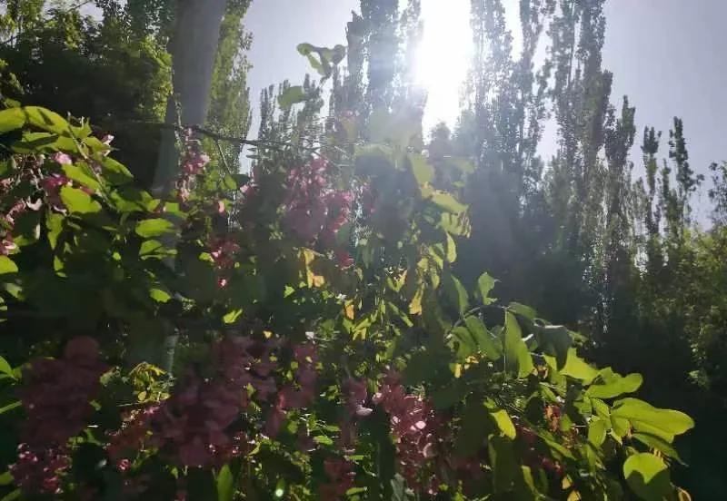 姐姐今年63岁，姐夫已故七年，心里总觉得没意思，想一走了之。这并非突发奇