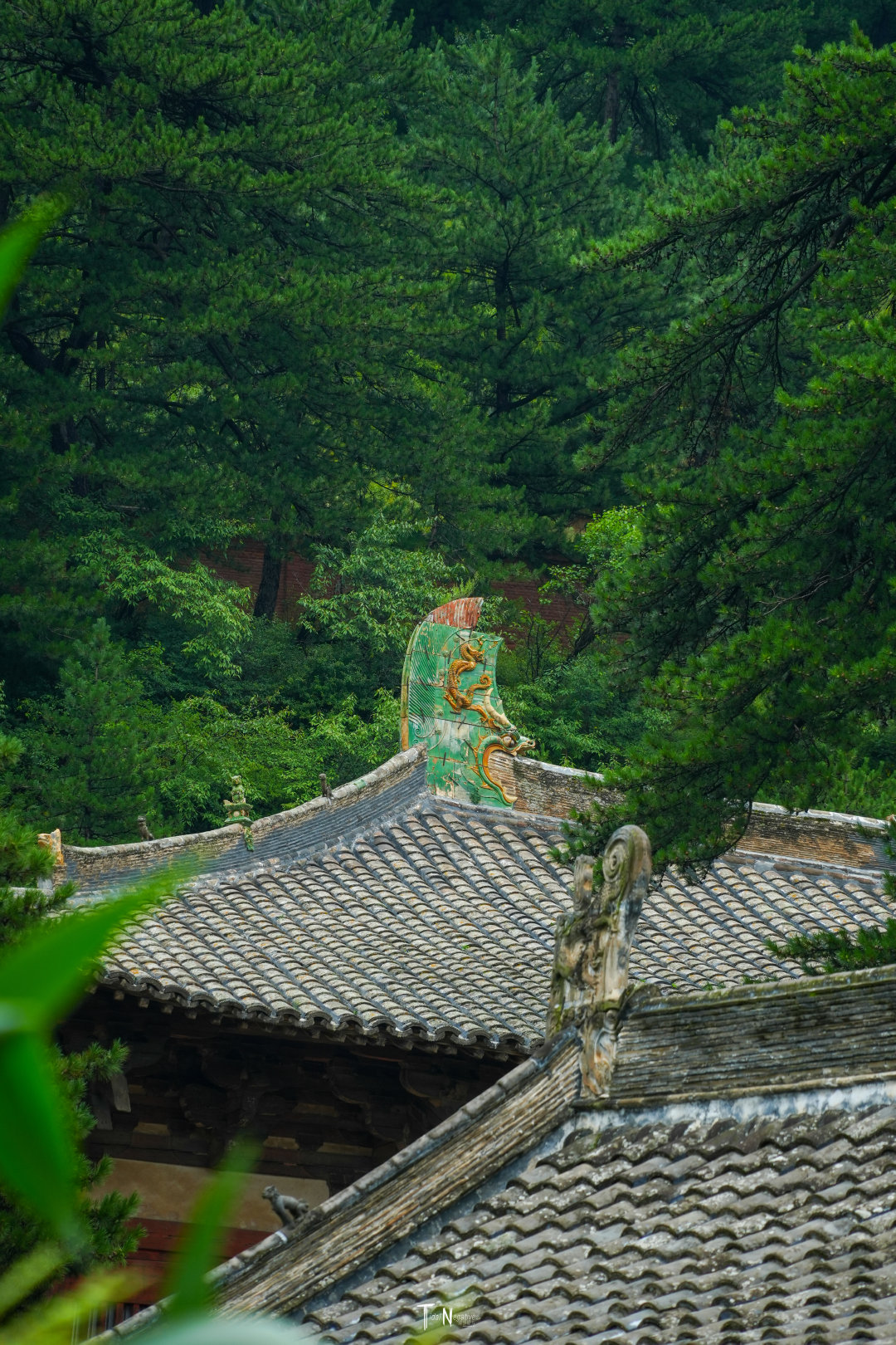千年唐韵，佛光永驻#遇见美好#☁#山西古建筑#📸索尼a7c2📍佛光寺​