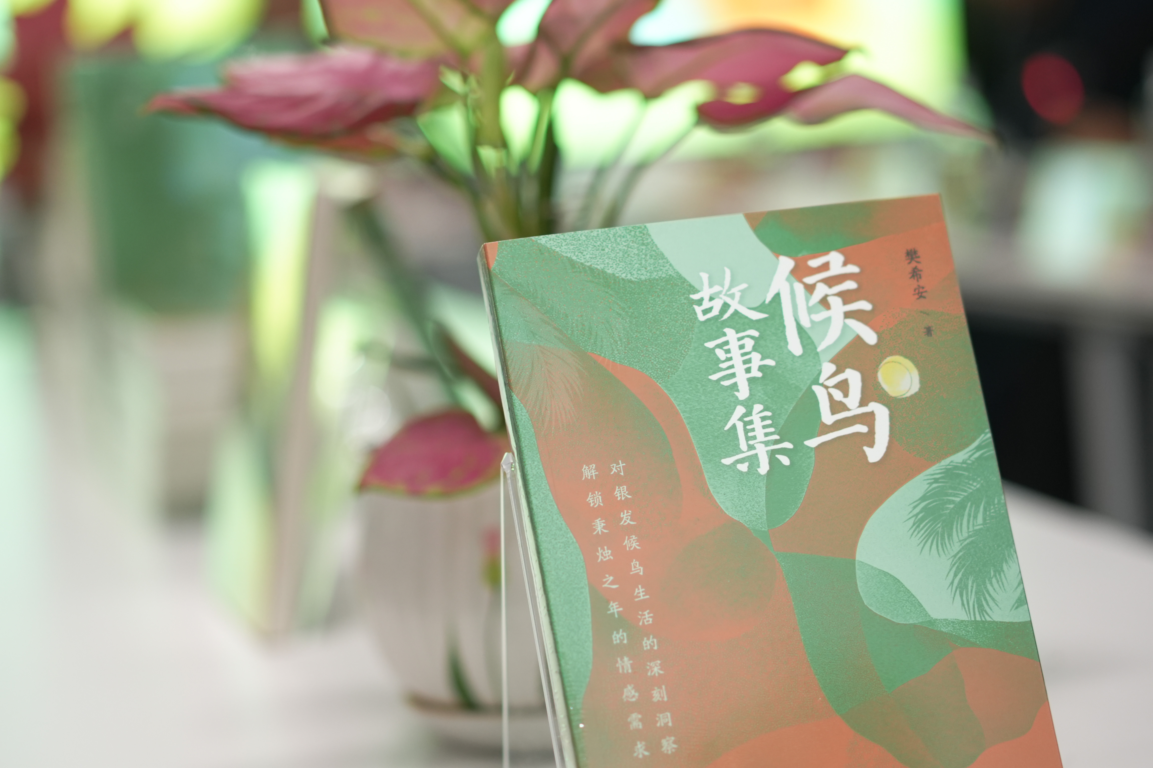 《候鸟故事集》研讨会举行: 共探新大众文艺的“在地性与流动性”