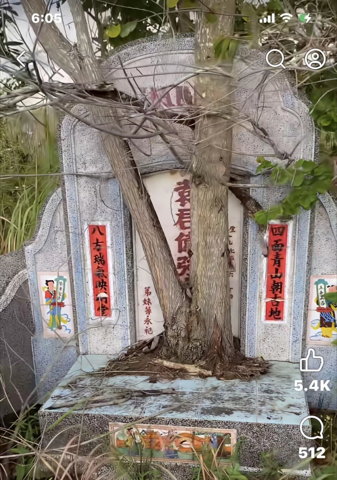 君应如何应对？