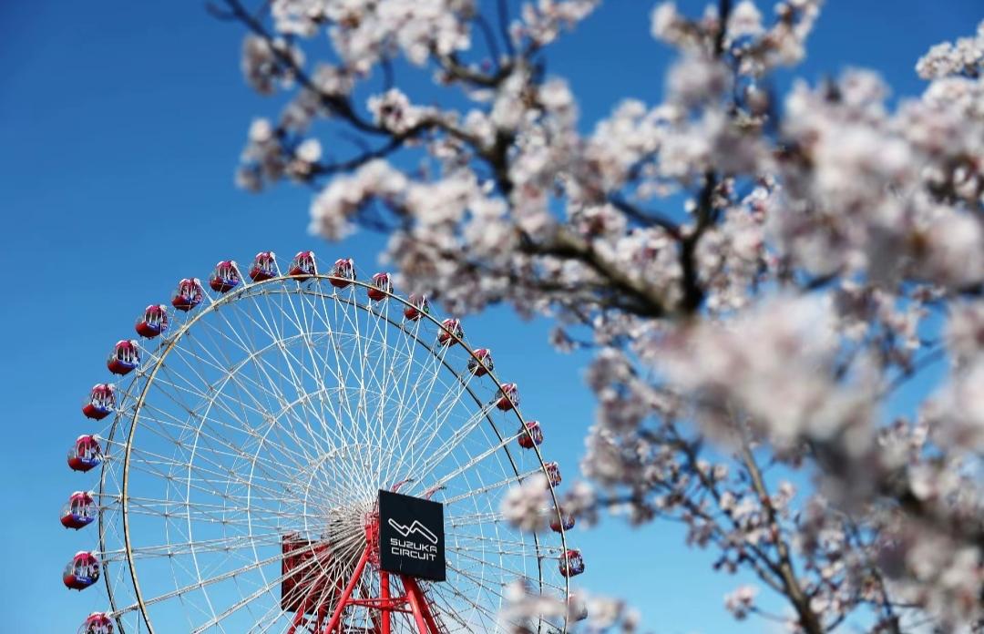 法拉利车队这次在日本铃鹿赛道保持着第二的势头，接下来的战略应该是保二争一。法拉