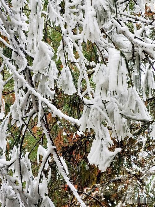 听到输了这么多我也挺震惊的，这可咋整呀！不会玩就别玩了，有啥用啊，把钱白白给人送