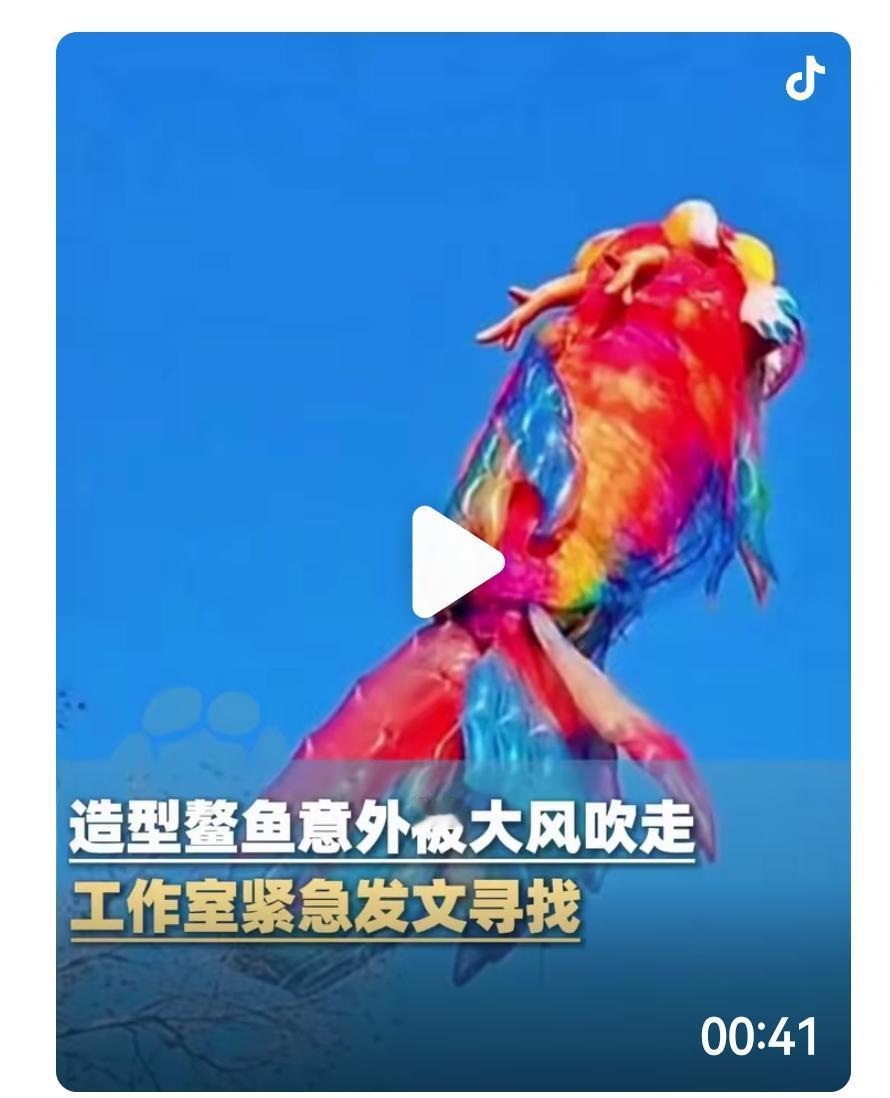 春节假期，济南上新街小学广场迎来了一位“重量级”网红——一条足足有21米长、高7