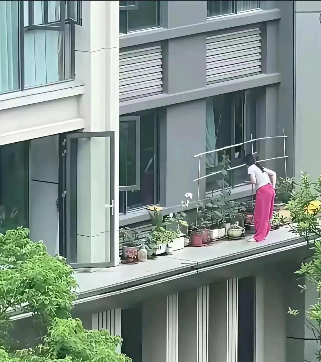 今天小区里拍到这一幕，真是胆子大哇！换成像我这种有恐高症的，早就腿软了，那可是