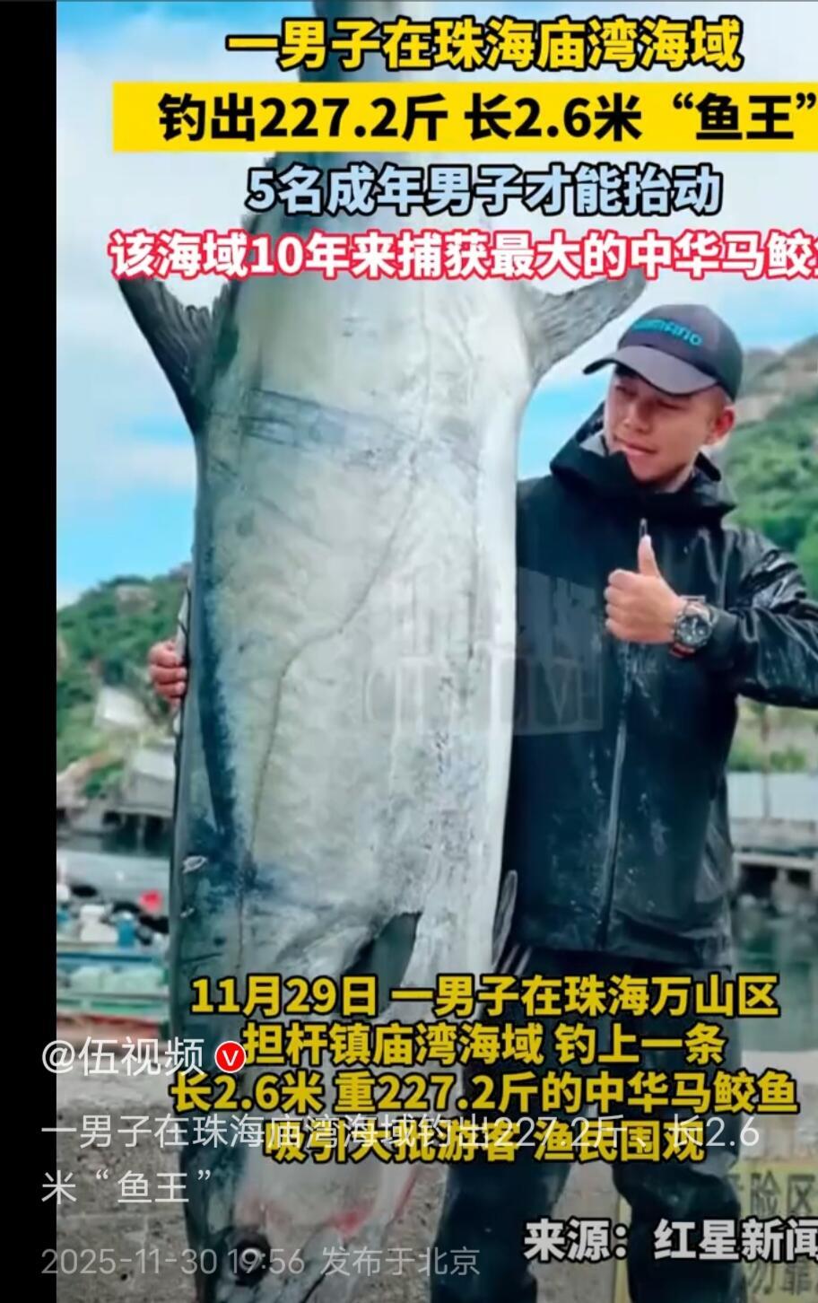 嚯，珠海有个老哥是真牛X，直接在庙湾那边海里干上来个大家伙！一条鱼，二百二十七斤