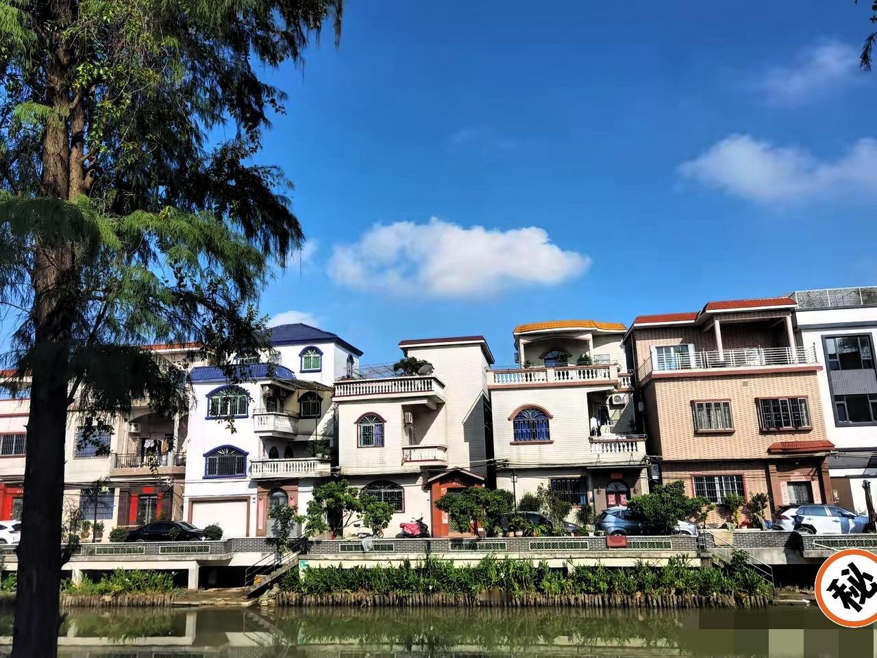 杜大娘诉东篱？与其告网友，不如先把自己的说法圆明白！明明是自己及家人晒出的