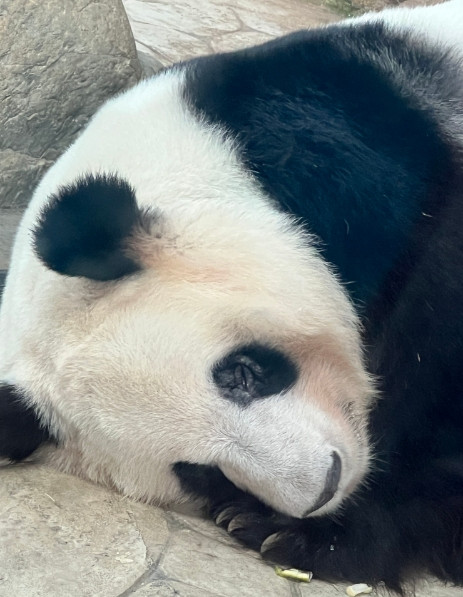 我有个同事，他女儿读私立学校，应该来说成绩不错，但相对于私立学校的学霸来说，当然