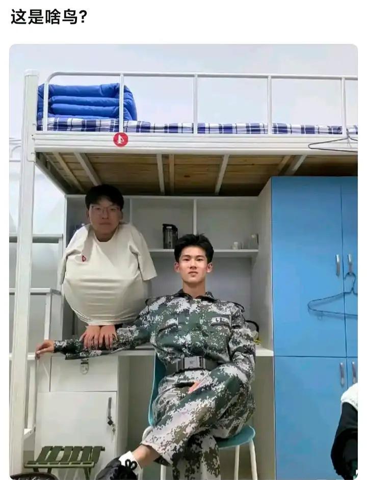 这种鸟还真没见过，可能是珍惜物种吧