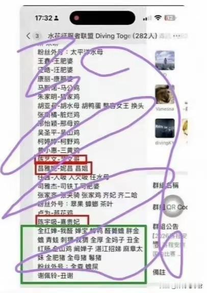 282人群组追着全红婵骂，婵宝太难了！随着全红婵被网暴一事出现在网友面前，不少