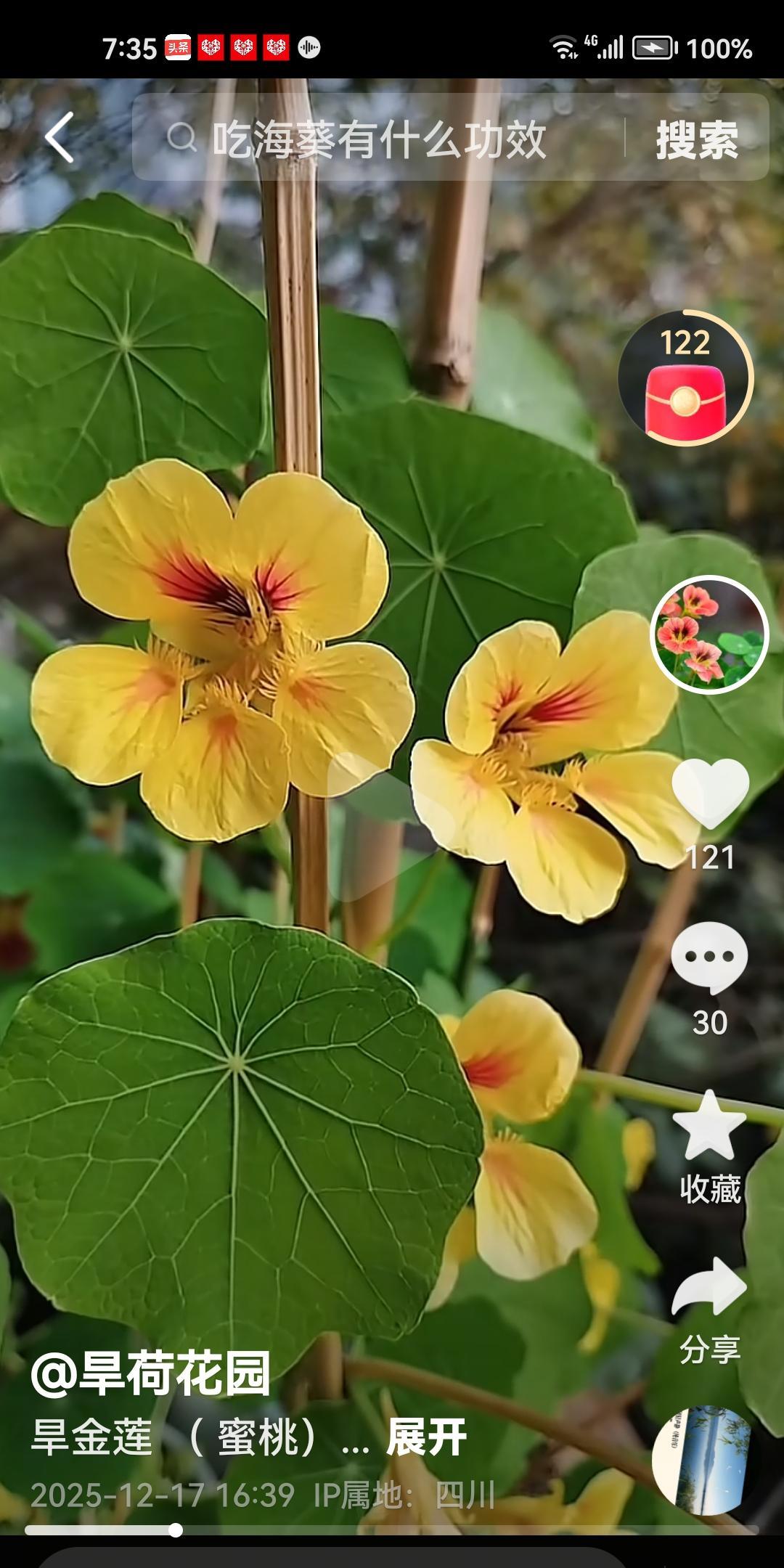 悄悄话，别让爱人听见、述说养花人不能说的三大秘密！自从人闲下来，开始爱上了养花