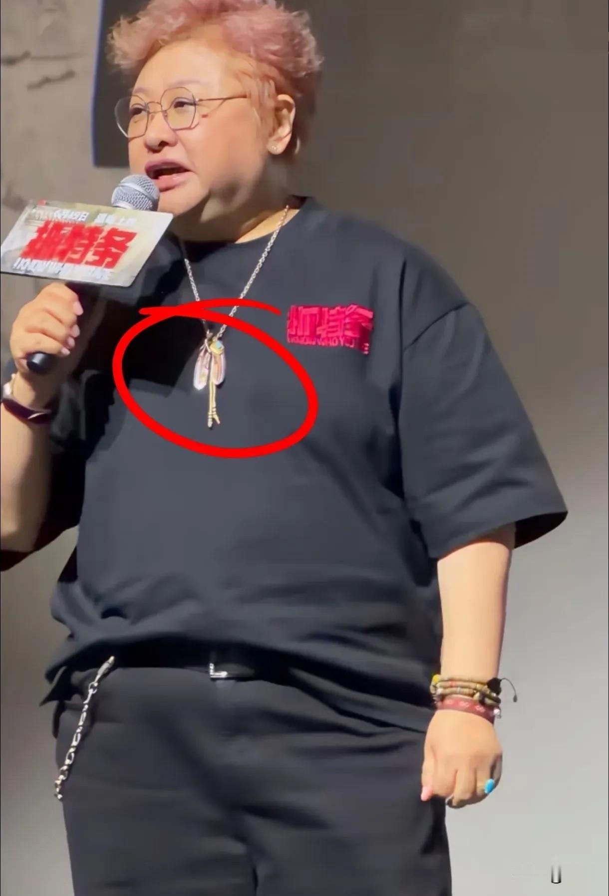 韩红路演戴的那条项链，又把她推到了舆论的风口浪尖。不少人扒出那是日本顶级银饰