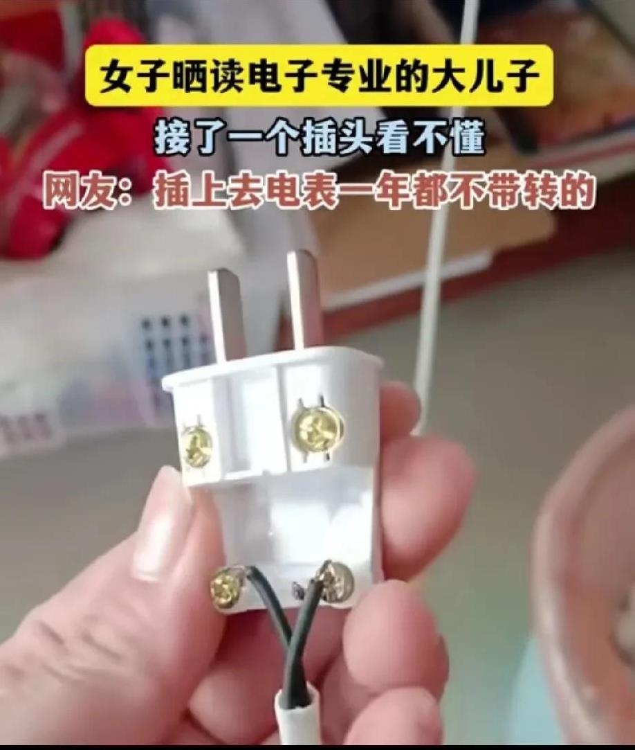 女子网络分享电子专业的儿子接的插头，把自己都气笑了，这样接电线确实是第一次见，有