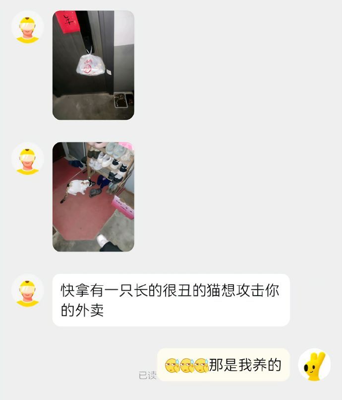 有一只很丑的猫想攻击你的外卖​​​
