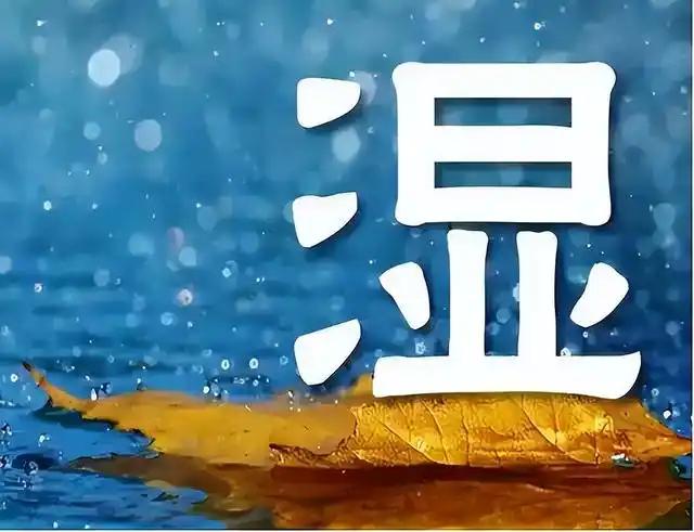 “湿气”这个词，几乎成了体检报告之外，最常出现在中老年人口中的身体信号。有人把它