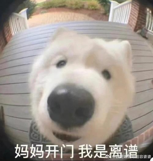 建议废除劳务派遣制度2026年又有亮眼的建议。我一朋友，某省会城市热播都市新闻栏