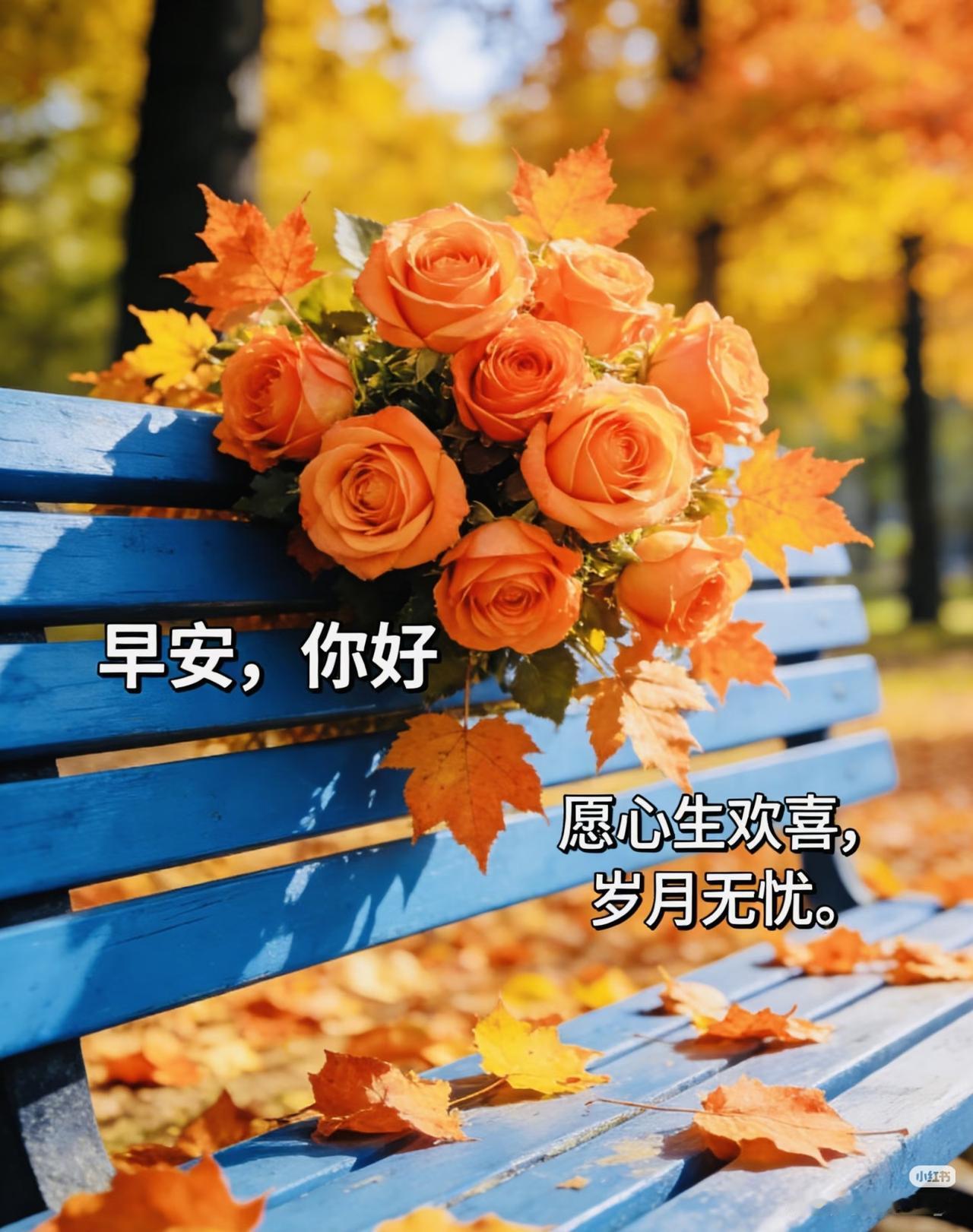 早安吉祥！新的一天，从好好的对待自己开始。不要焦虑任何事情和任何人，踏踏实实的过