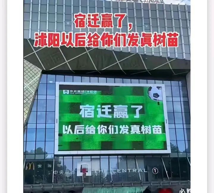没有苏超，真不知道宿迁是中国花木之乡但是，我要弱弱的问一句宿迁到底卖了多少假