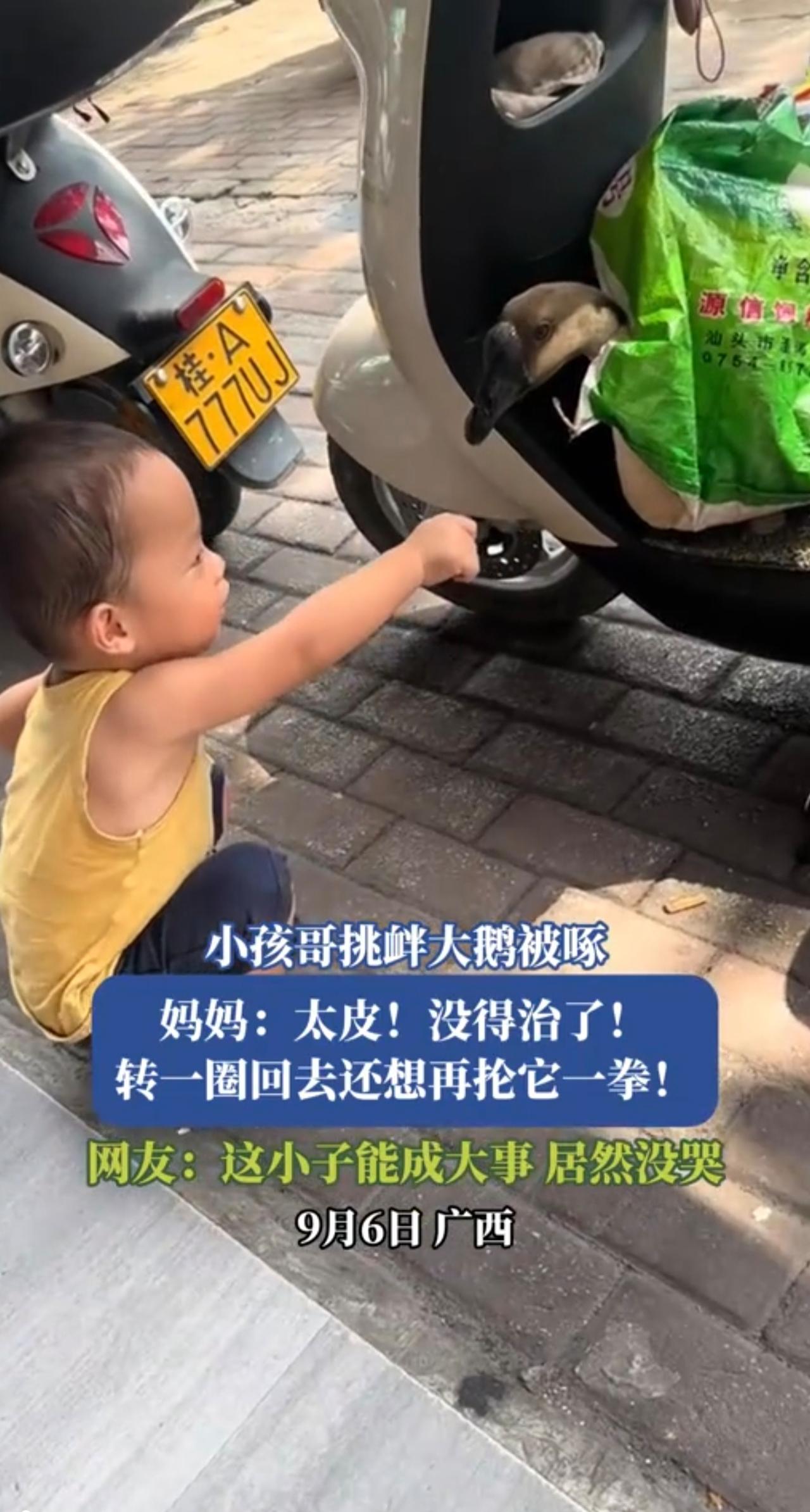 9月6日，广西。调皮小男孩挑衅大鹅，反被大鹅啄了嘴…居然没哭，这小子能成大事！（