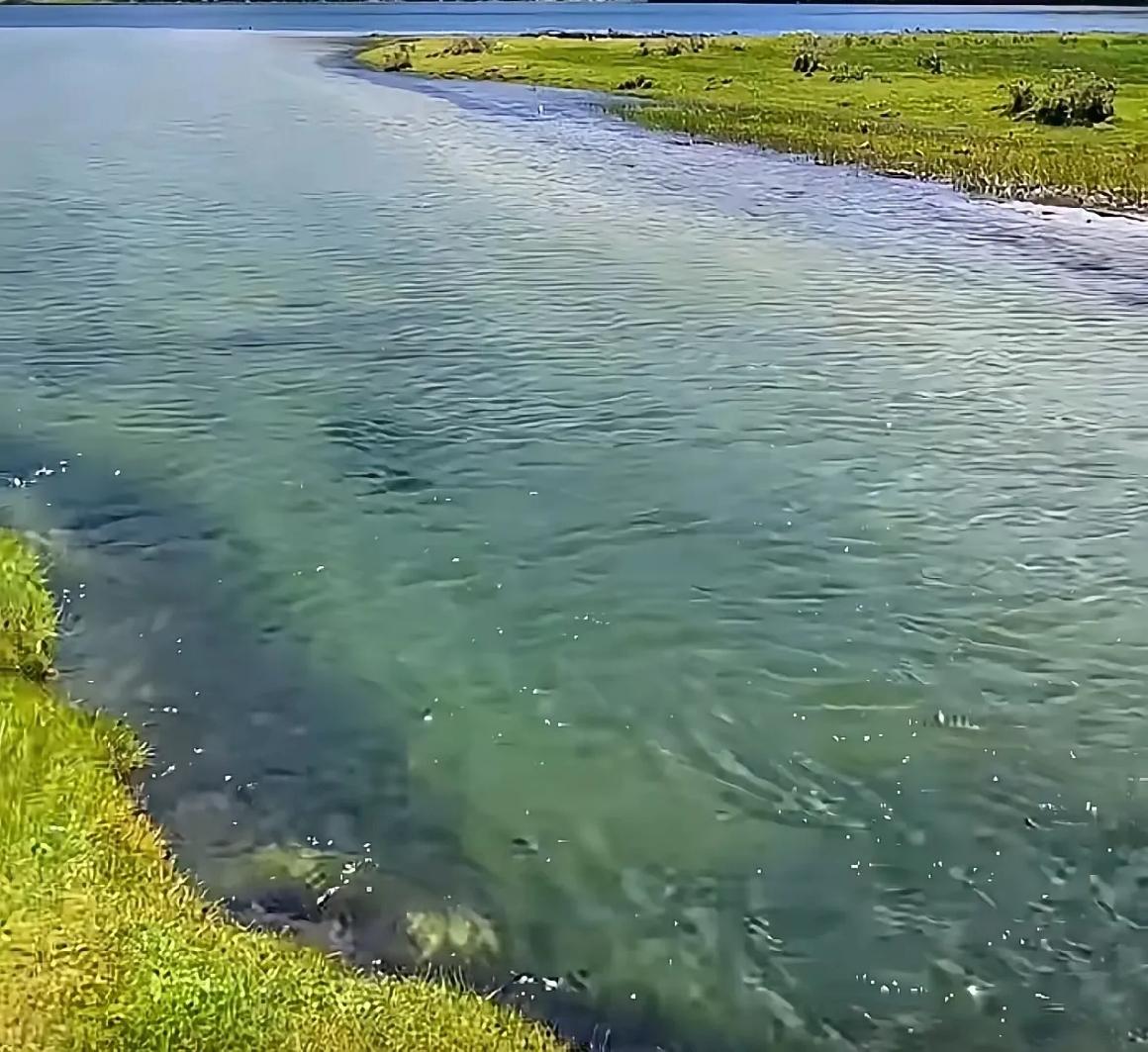一位退休老人说:“房子再大，退休金再高，一旦热衷广场舞、打麻将，扎堆凑热闹，人