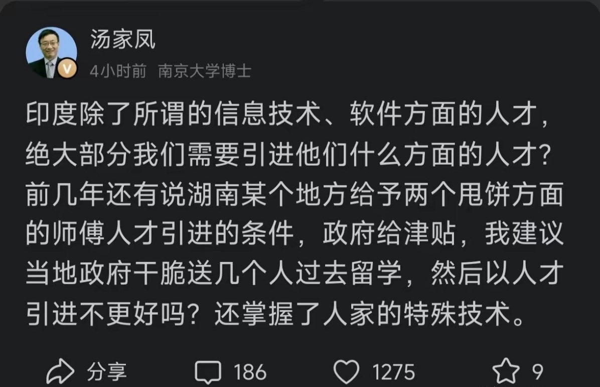 中国缺的是IT，不是烙饼