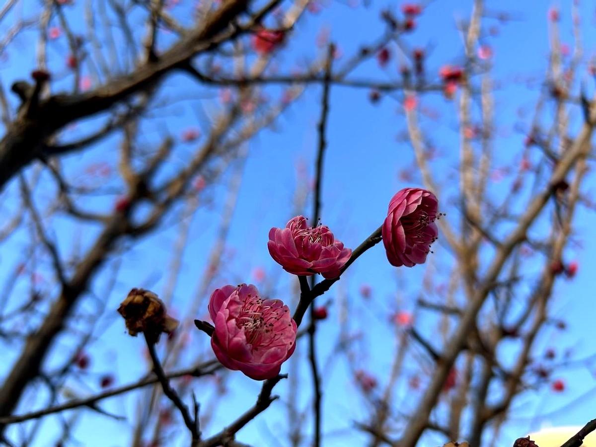 年关将至,一位博主晒出自家“给婆婆发年终奖”,84岁的老太太跟长子住了十多年,吃