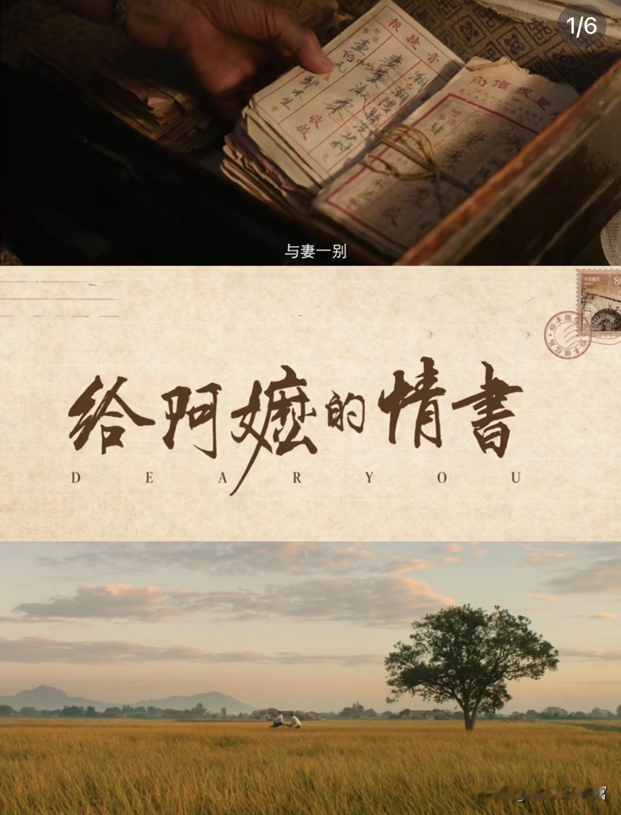 看完《给阿嬷的情书》我才懂，她们的不争，从来不是懦弱，而是内核强大到不内耗、不被