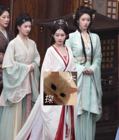 孟子义被侍女艳压了！？