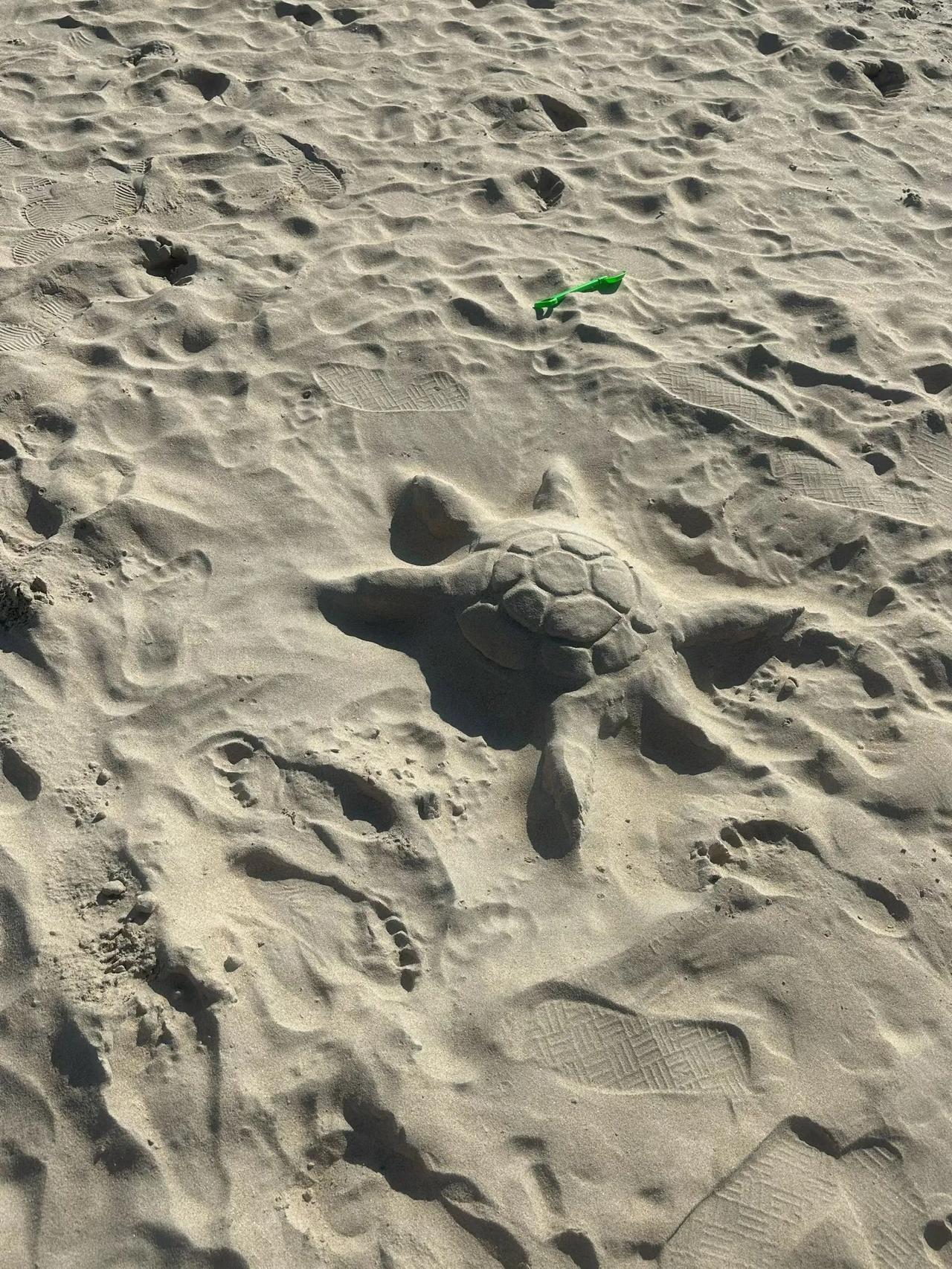 《黄帝内经》四季养生（出自《素问·四气调神大论》）总纲天人合一、春生