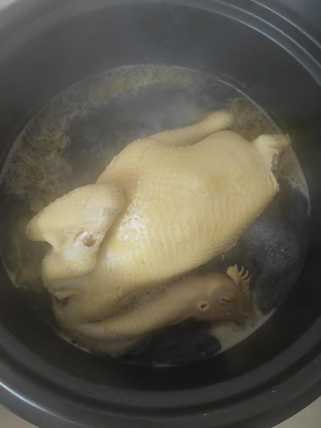 真的好想吃白切鸡，正宗的那种。小时候，家里养了很多阉鸡，就是大扇鸡，过节的时候
