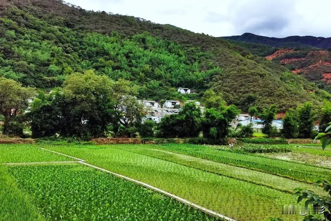 你的孩子会骂你吗？会，恭喜你，你的教育是成功的！你和孩子是平等关系，凭什么只能父