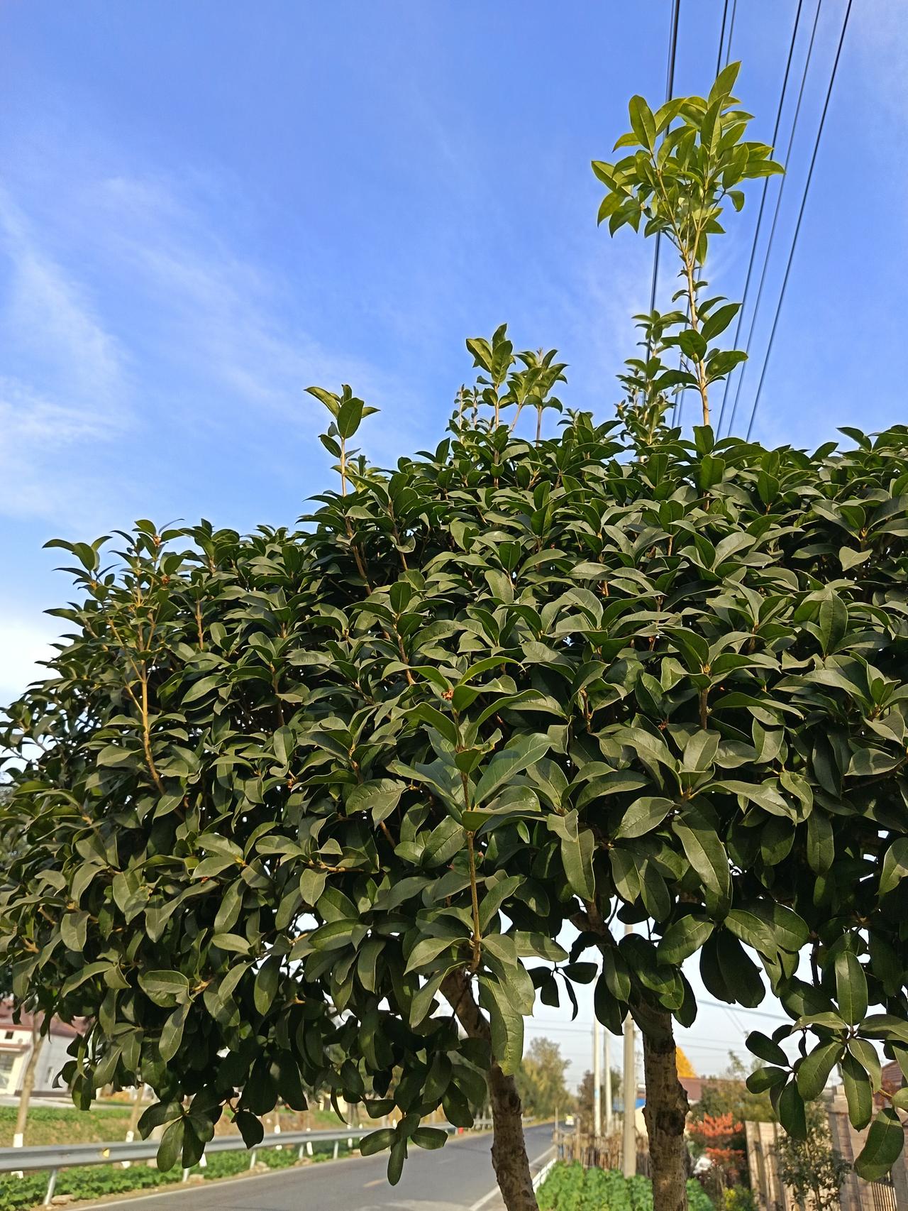 老妹告诉我，她一个月养老金1360元，基本是月月清的那种。水电费每月不低于2