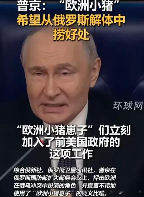 有两个关键信息点，一是俄罗斯解体，二是“欧洲小猪崽子”（其实，应该说成狼崽子更形