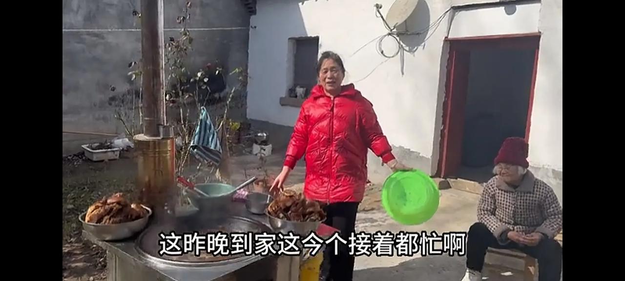 阿杜大姨回家陪老妈过年远嫁外地的大姨回来了，跟阿杜家借了个灶台烧大锅饨李佳给的