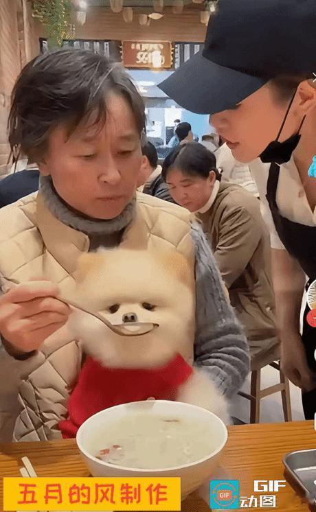 在餐馆里撞见离谱的一幕大妈怀里抱着博美犬视若珍宝竟拿餐厅的碗勺给狗子