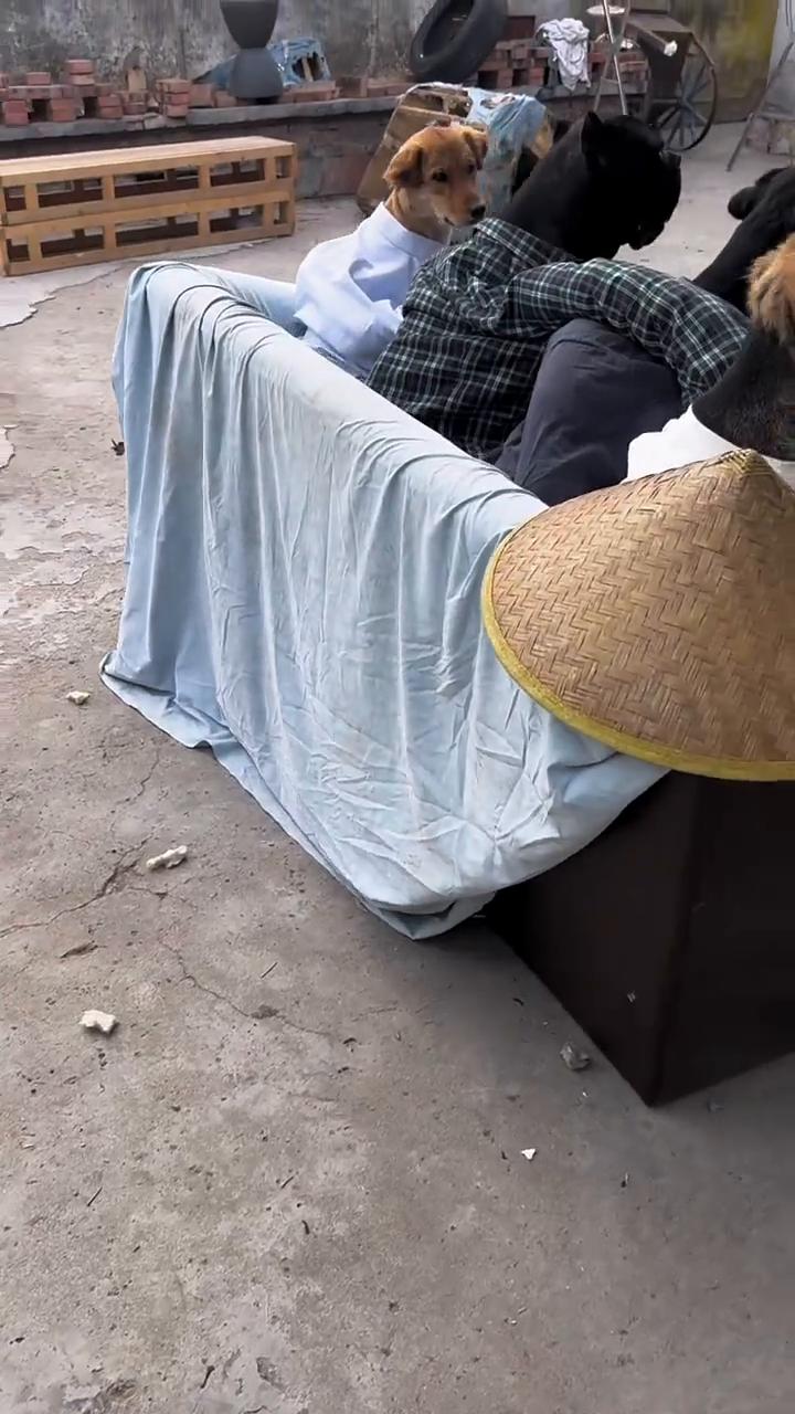 哈。