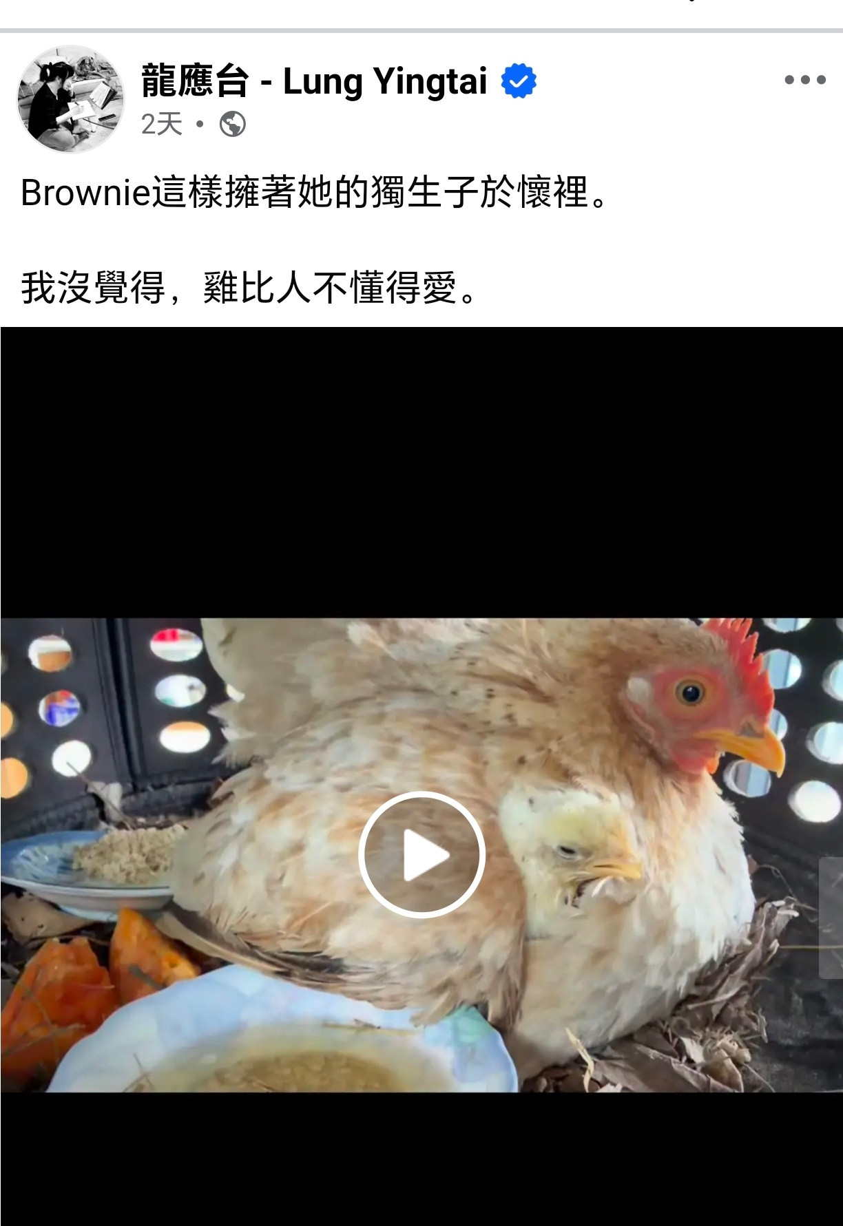 看来安德烈一年到头不回家，龙应台孤独无比，不知道安德烈能不能看懂