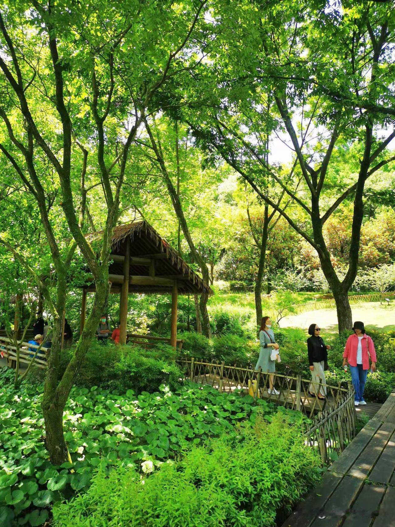 周末休闲杭州西湖小众景点乌龟潭畔，人少景美，‌这里具‌有江南山地‌与‌水乡‌双重
