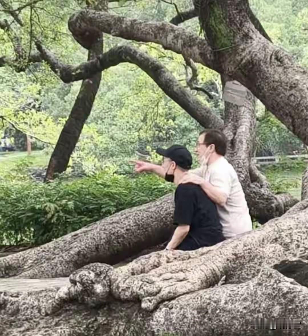 成龙说到底还是个男人不管房祖名犯多大的错到老了他第一个想到的还是儿子本来