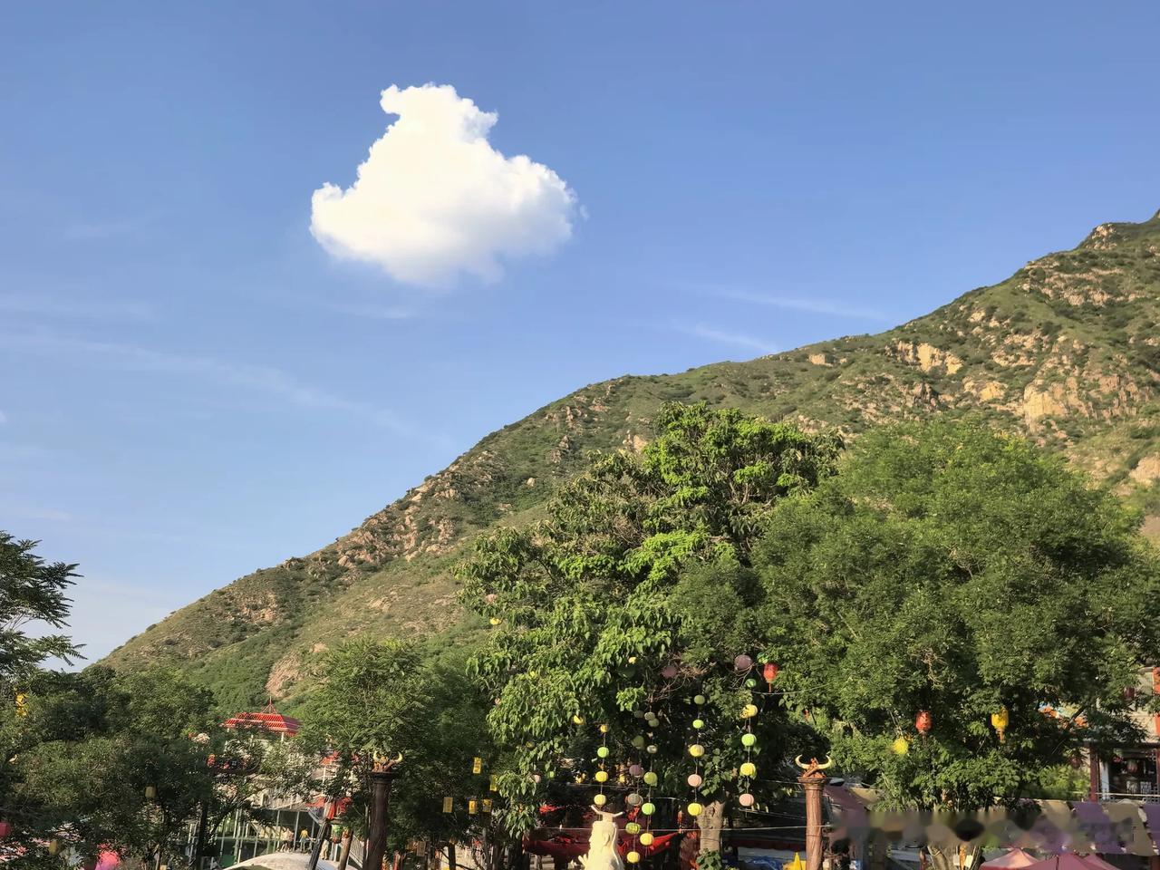 同事老李脑梗发病大半年了，尽管每天还在服中药针灸，依旧是不会说话不会走路，提起这