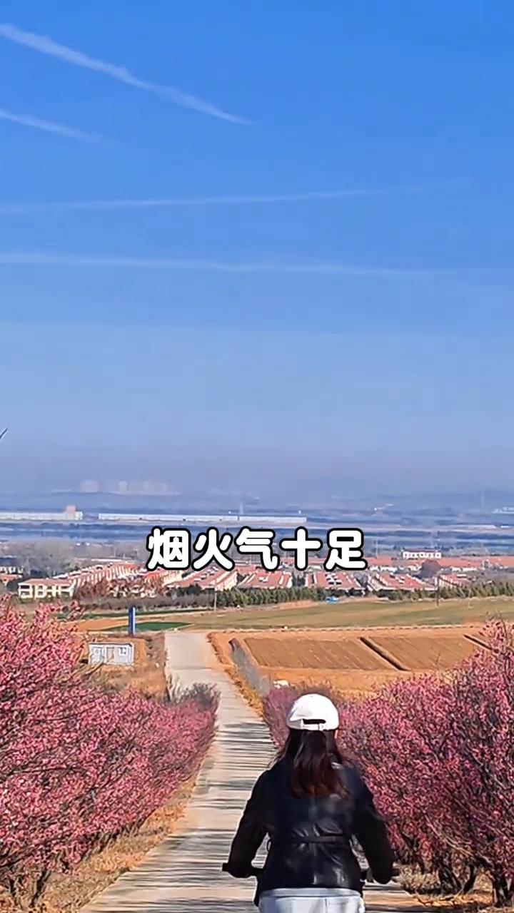 十年前放弃东北安逸的生活移居银滩，你后悔了吗？曾经有人问我卖掉东北的房子千里迢