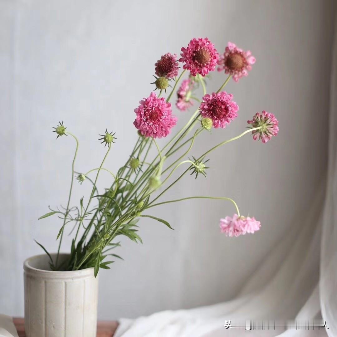 现在的男人，都有个通病。跟自己老婆说话，没两句就容易炸毛。明明只是想好好聊个