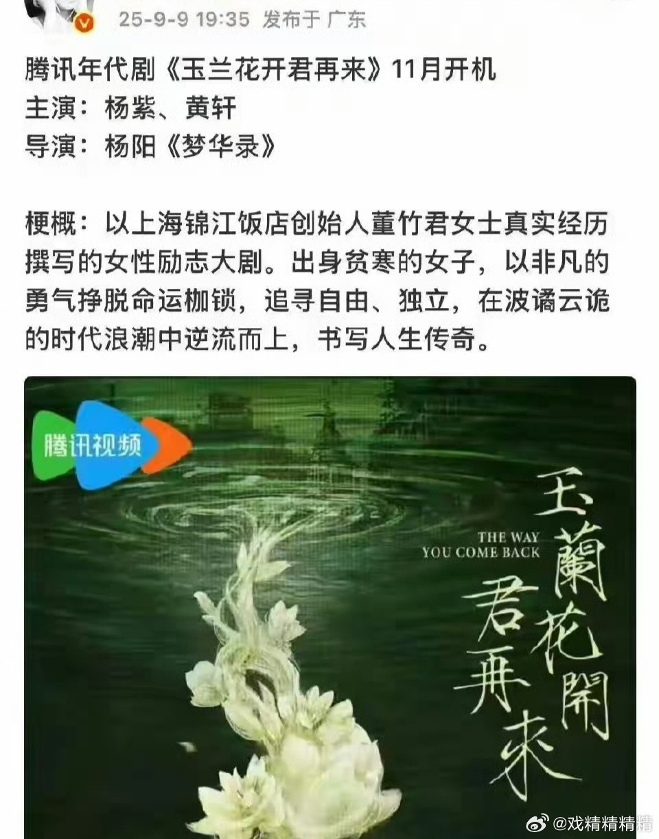 杨紫新剧班底VS迪丽热巴新剧班底​​​