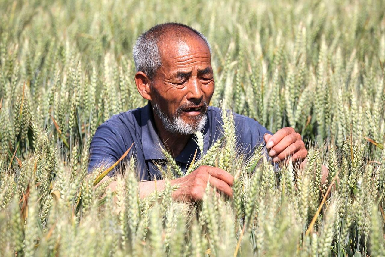 ＃你是否支持为农民老年人提供保障？是的，我完全支持为农民老年人提供保障