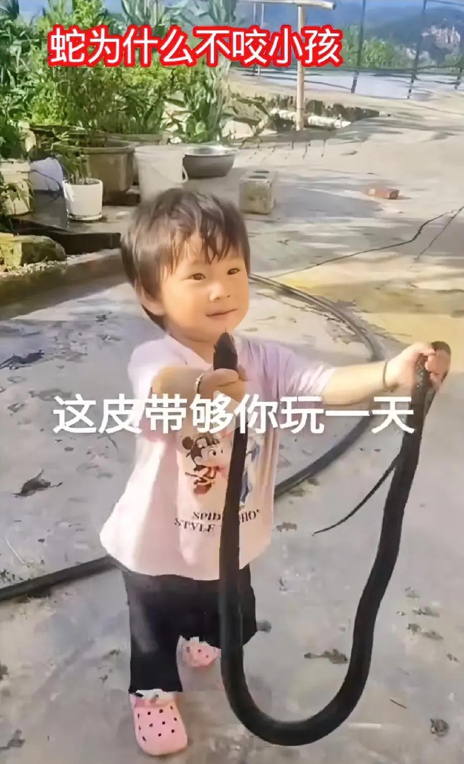 小孩子玩蛇，为什么不伤她们呢？我们家的小孩在我家的屋后看到一条盘着蛇，几个小孩